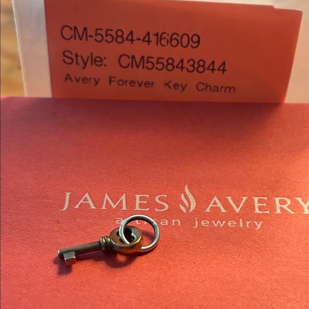 Retired James Avery Forever Key Charm bronze